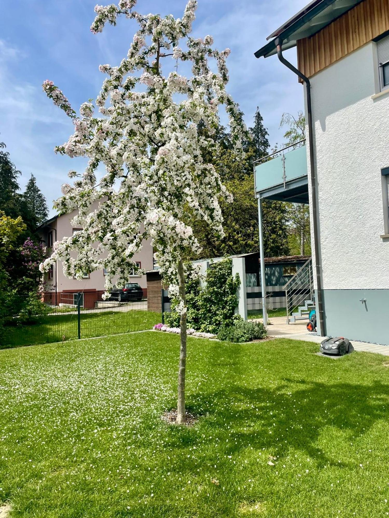 Anitas Ferienwohnung Мескирх Экстерьер фото